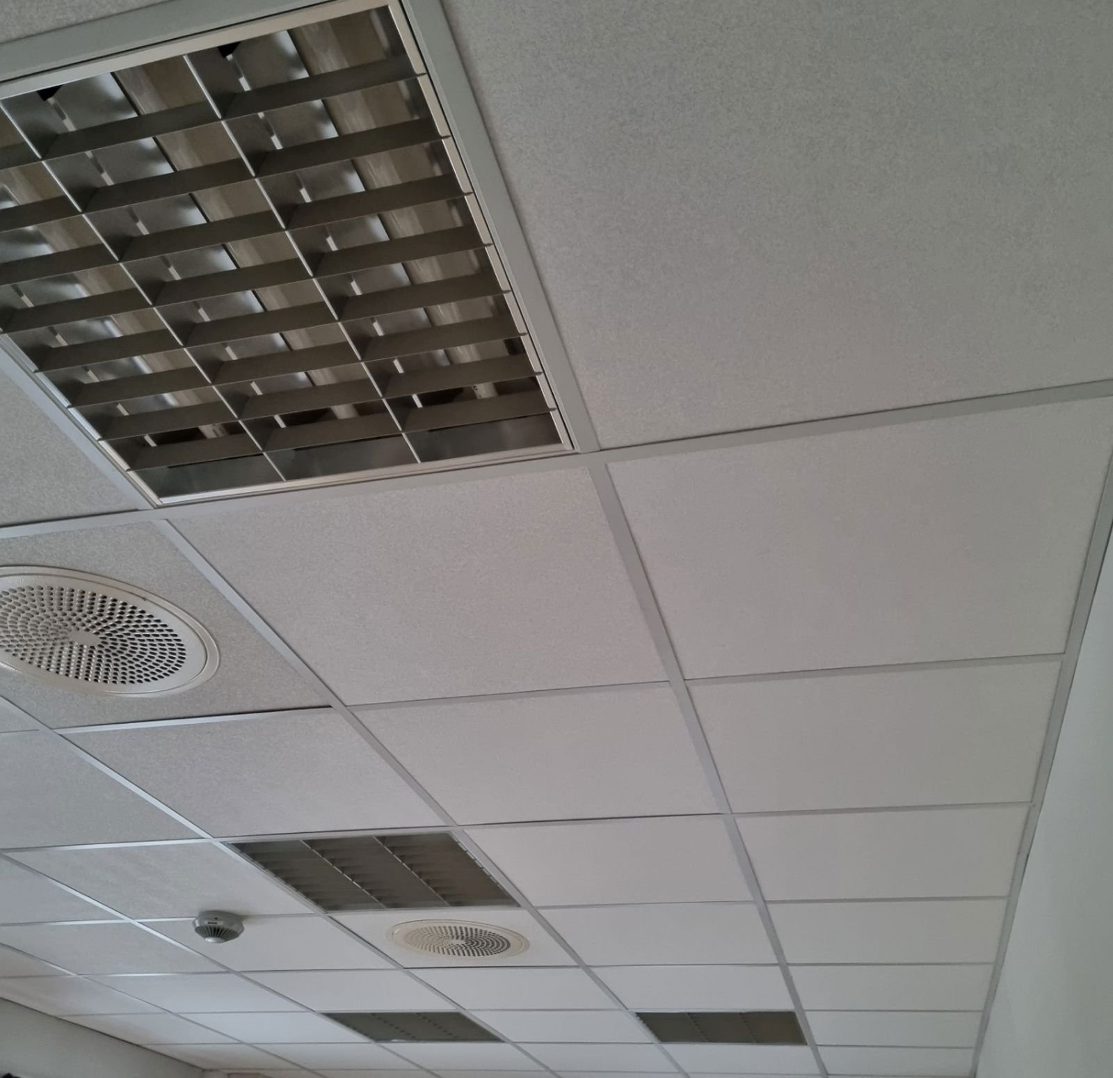 Himlingsplater i tak